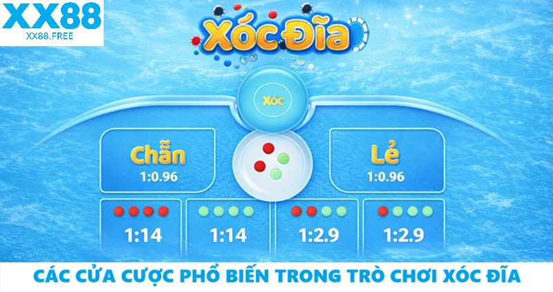 Các cửa cược phổ biến trong trò xóc đĩa