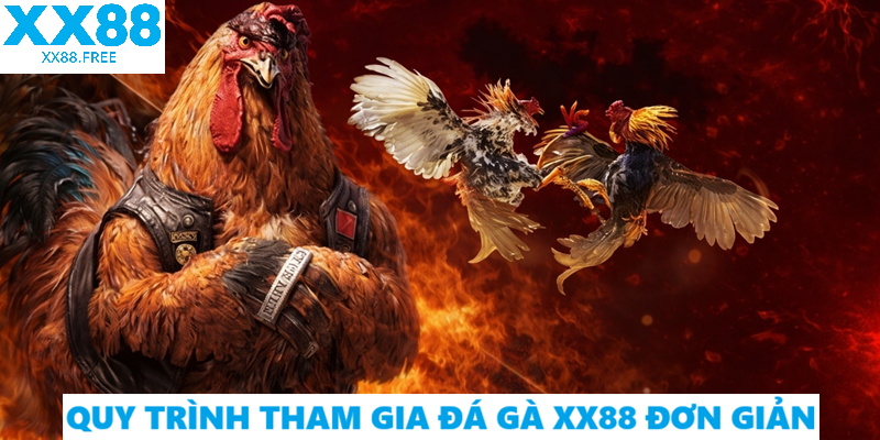 Quy Trình Tham Gia Đá Gà XX88 Đơn Giản