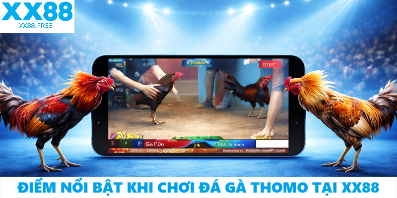 Điểm nổi bật khi chơi đá gà Thomo tại XX88