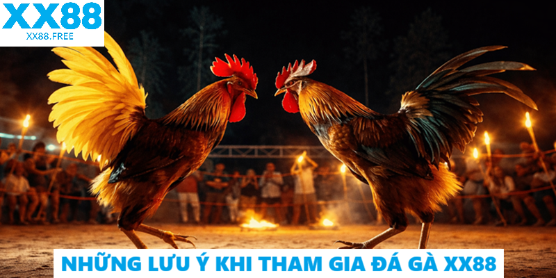 Những Lưu Ý Khi Tham Gia Đá Gà XX88