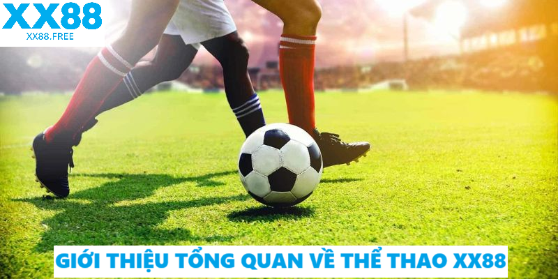 Giới Thiệu Tổng Quan Về Thể Thao XX88